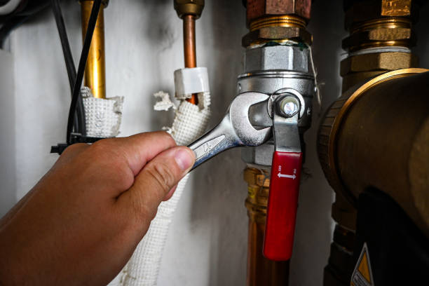 Best Water Leak Repair  in Elgin, IL